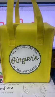 Farbgeschneiderte nicht gewebte Isolier-Lunch-Cooler-Einkaufstüte für Picknick-Eispack