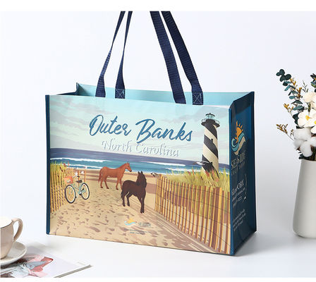 Medium Größe Eco-Friendly Laminated Nonwoven Tasche für maßgeschneiderte Shopping Boutique