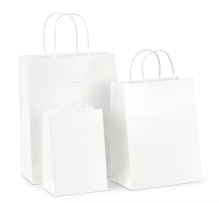 Papier-Twisted-Handle-Shopping-Geschenk-Tasche mit Logo-Druck und OEM/ODM akzeptiert