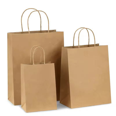 Papier-Twisted-Handle-Shopping-Geschenk-Tasche mit Logo-Druck und OEM/ODM akzeptiert
