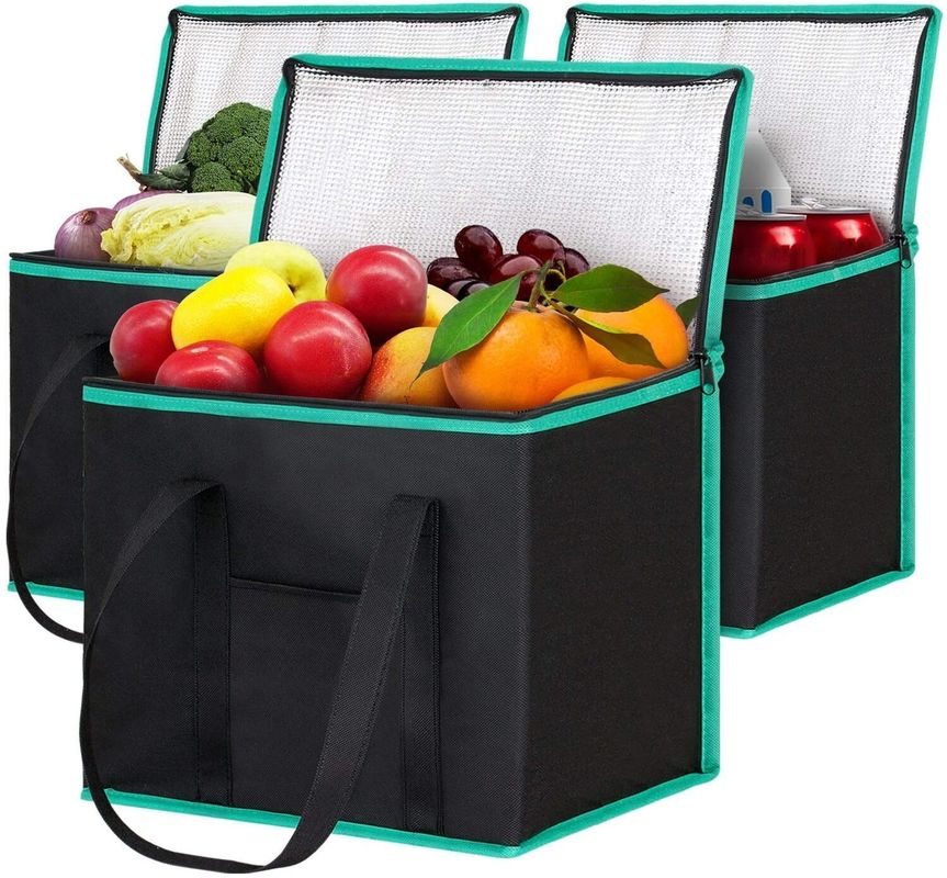 Custom Logo Isolierte Tote Lebensmittelliefertasche Custom Logo Feste Farbe Muster Typ